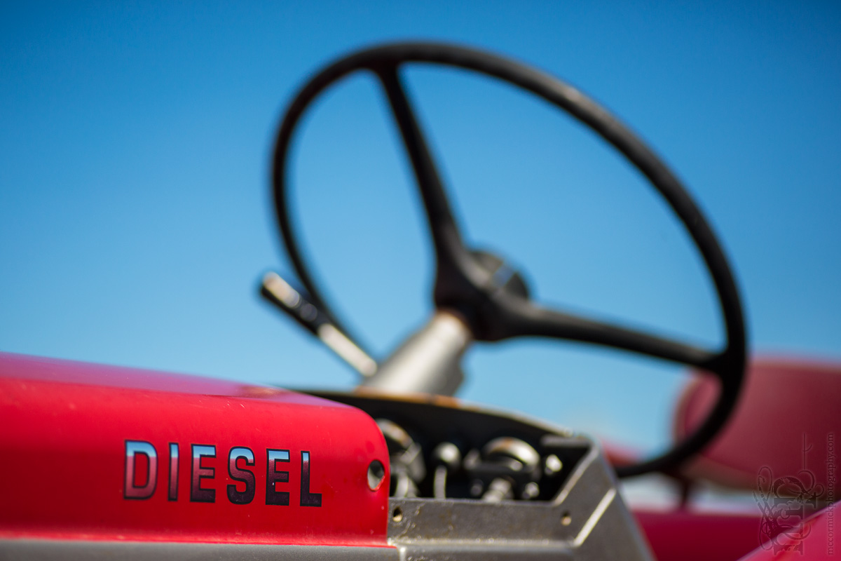 Classy Massey [1 of 3]
