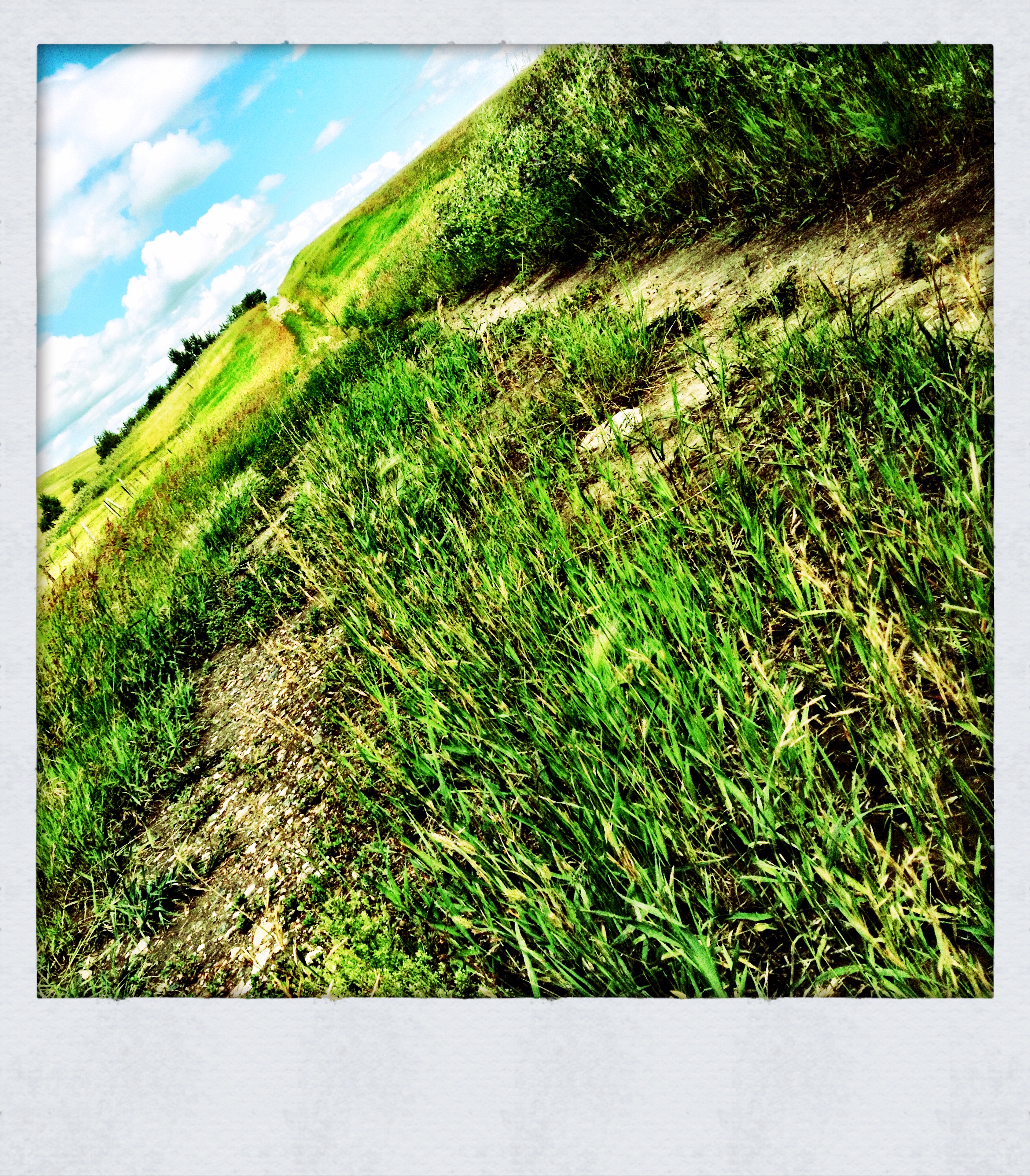Walk to Cayno School : The Road to Cayno [2 of 5]