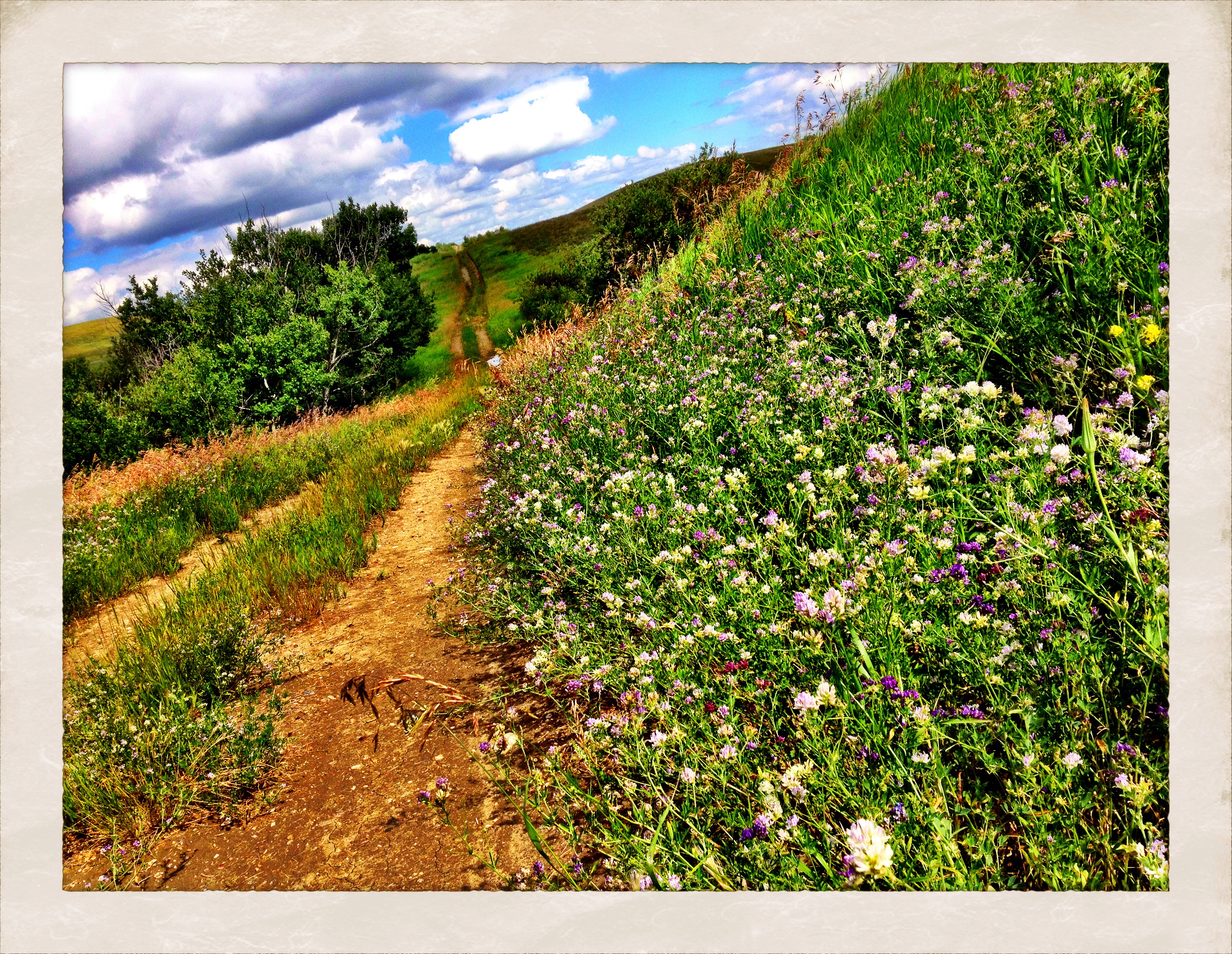 Walk to Cayno School : The Road to Cayno [3 of 5]