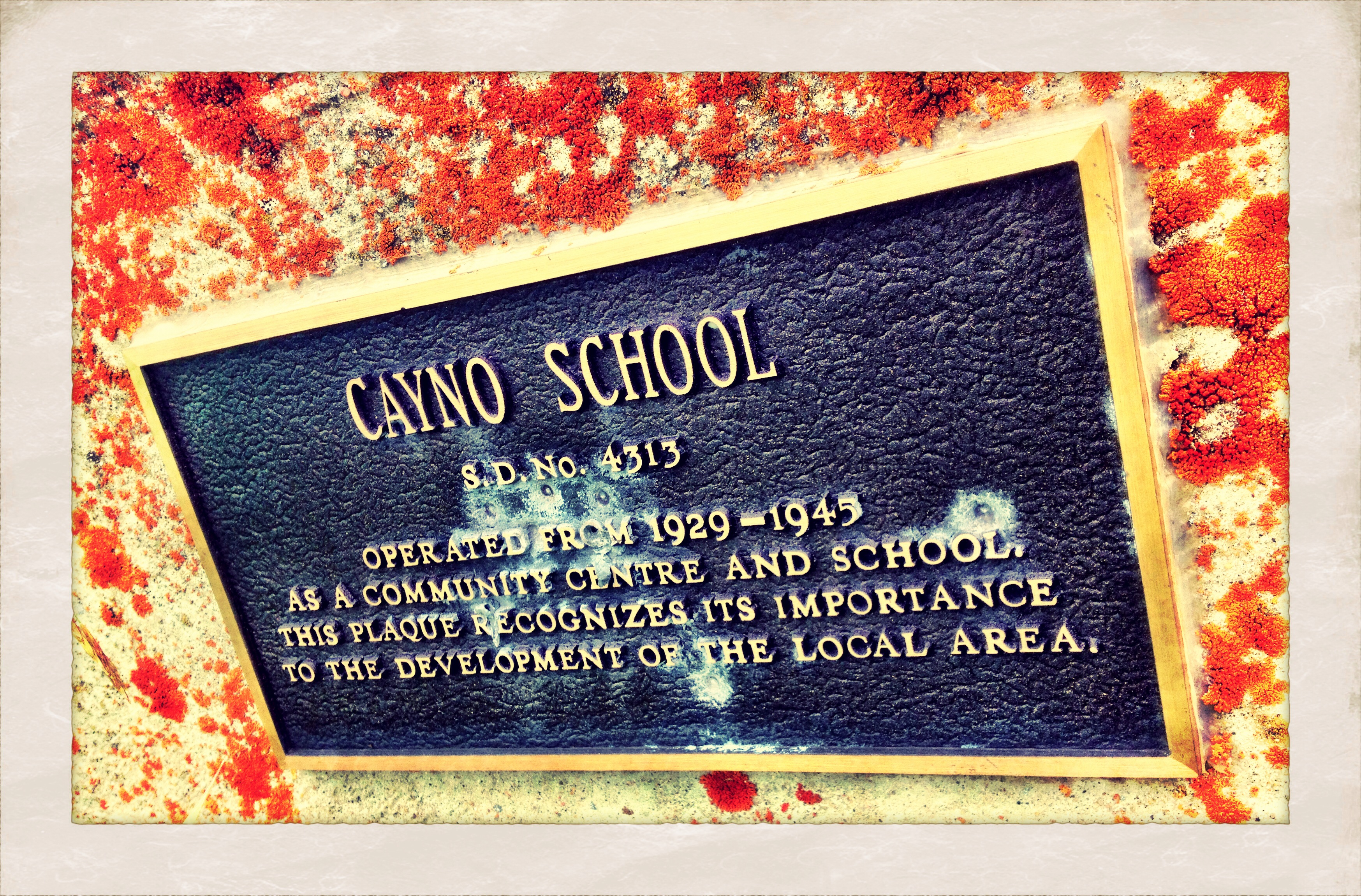 Walk to Cayno School : Commemorate This