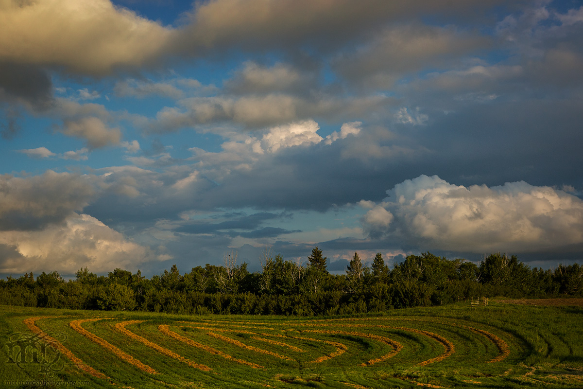 July 24, 2013 : Sean gets a swirly [2 of 3]