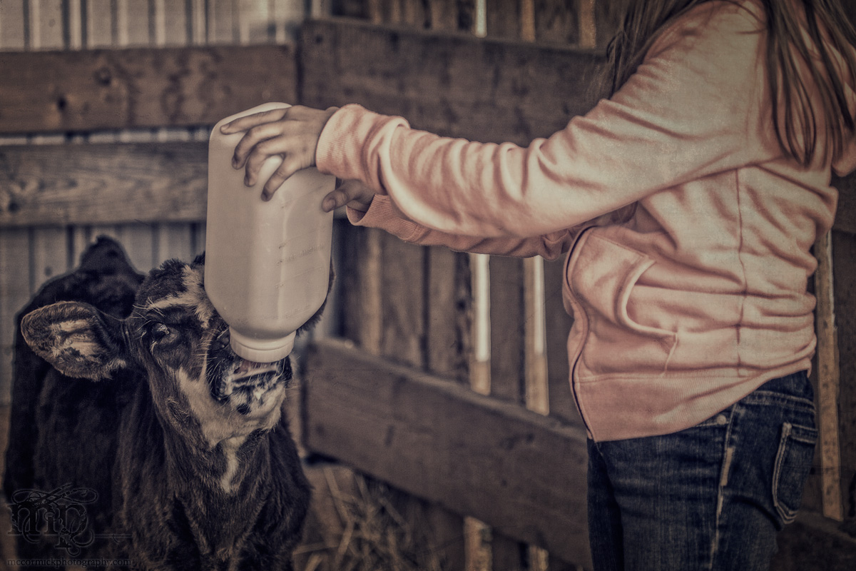July 27, 2013 : Morning Chores : Bottle Baby