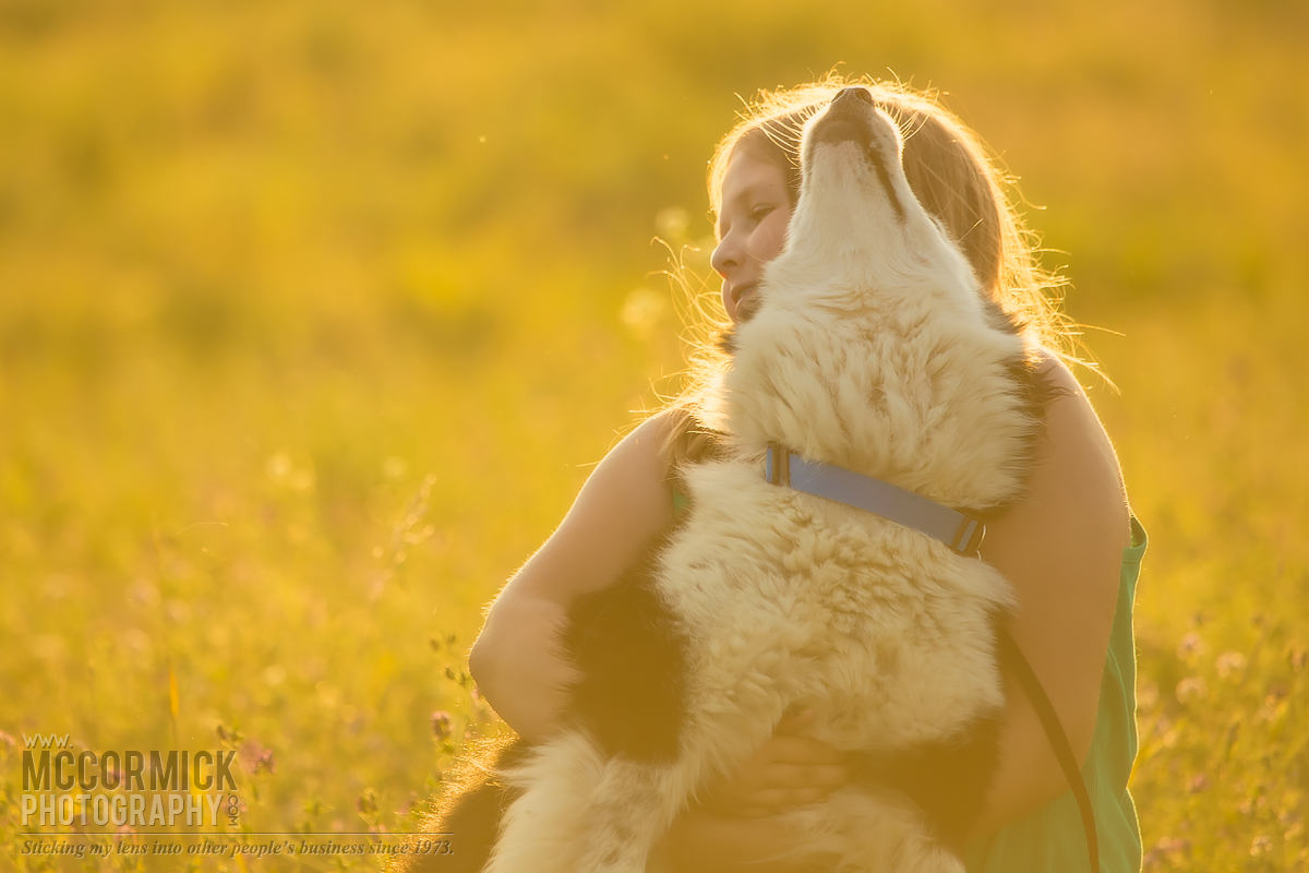 Aug 10, 2013 : Sunset : Ash & Achilles [1 of 3]