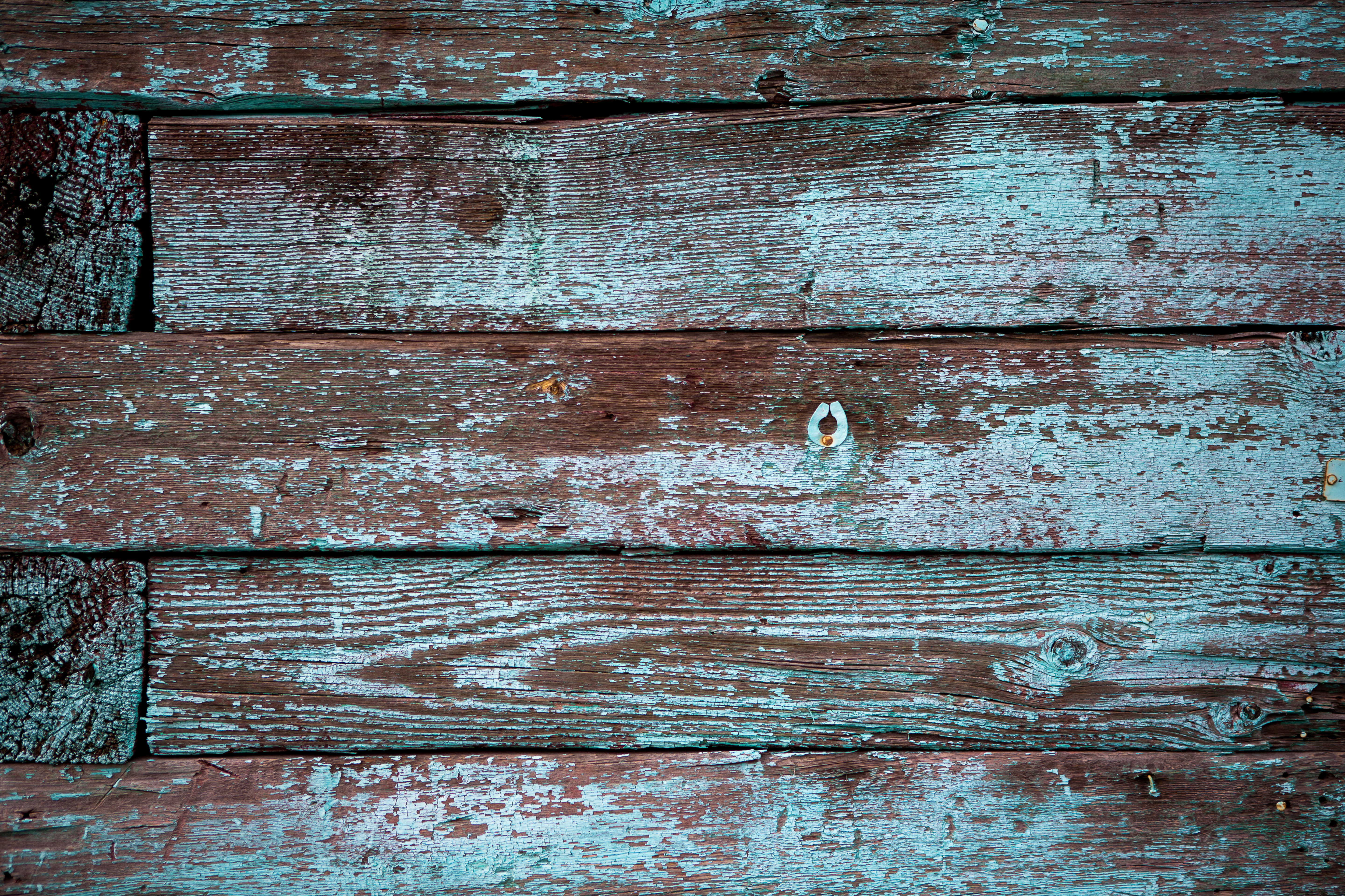20140503-2F8A9451-Canon EOS 5D Mark III