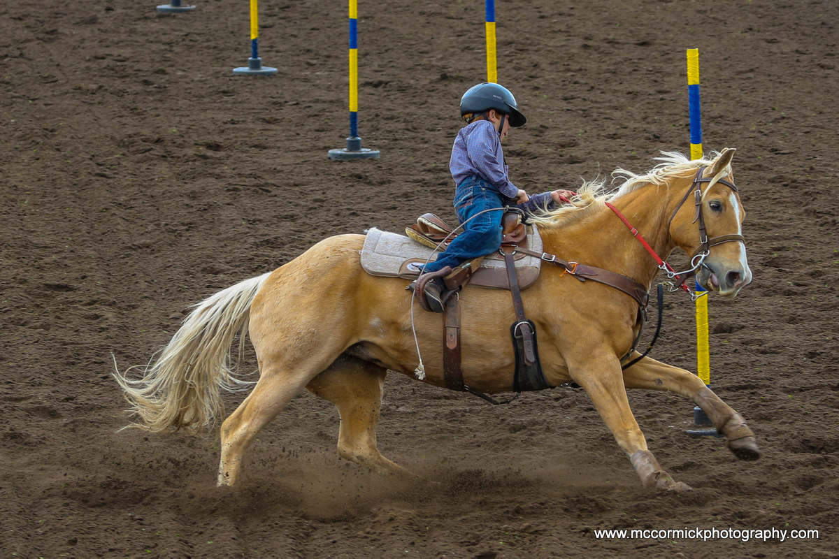 20140601-084000-2F8A1017-Canon EOS 5D Mark III