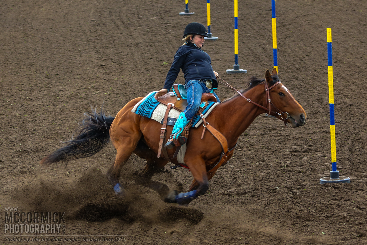 Gooseberry Lake : 4-H Rodeo 2014 : Half Measures Availed Us Nothing