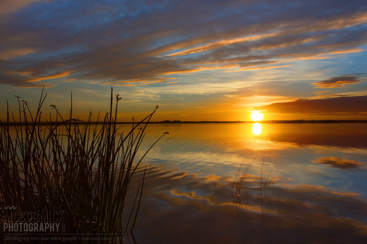 Fox Lake 2014 : In the Weeds
