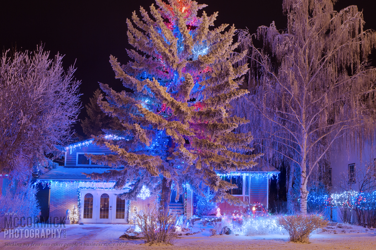 Christmas Lights 2014 : Hanna AB : 2 of 19