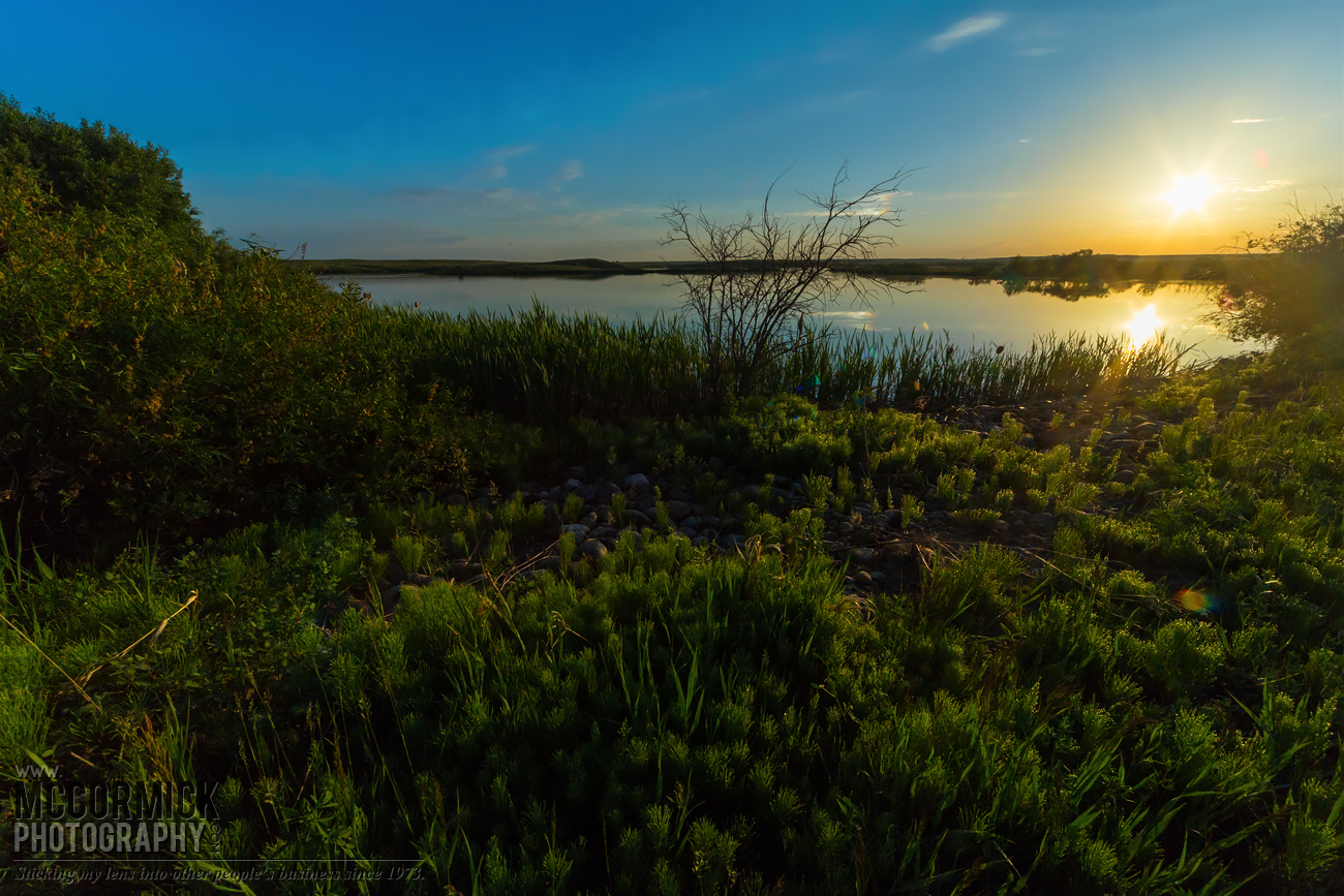 Prairie Oasis : 2015-06-06 : Sunrise 1 of 3