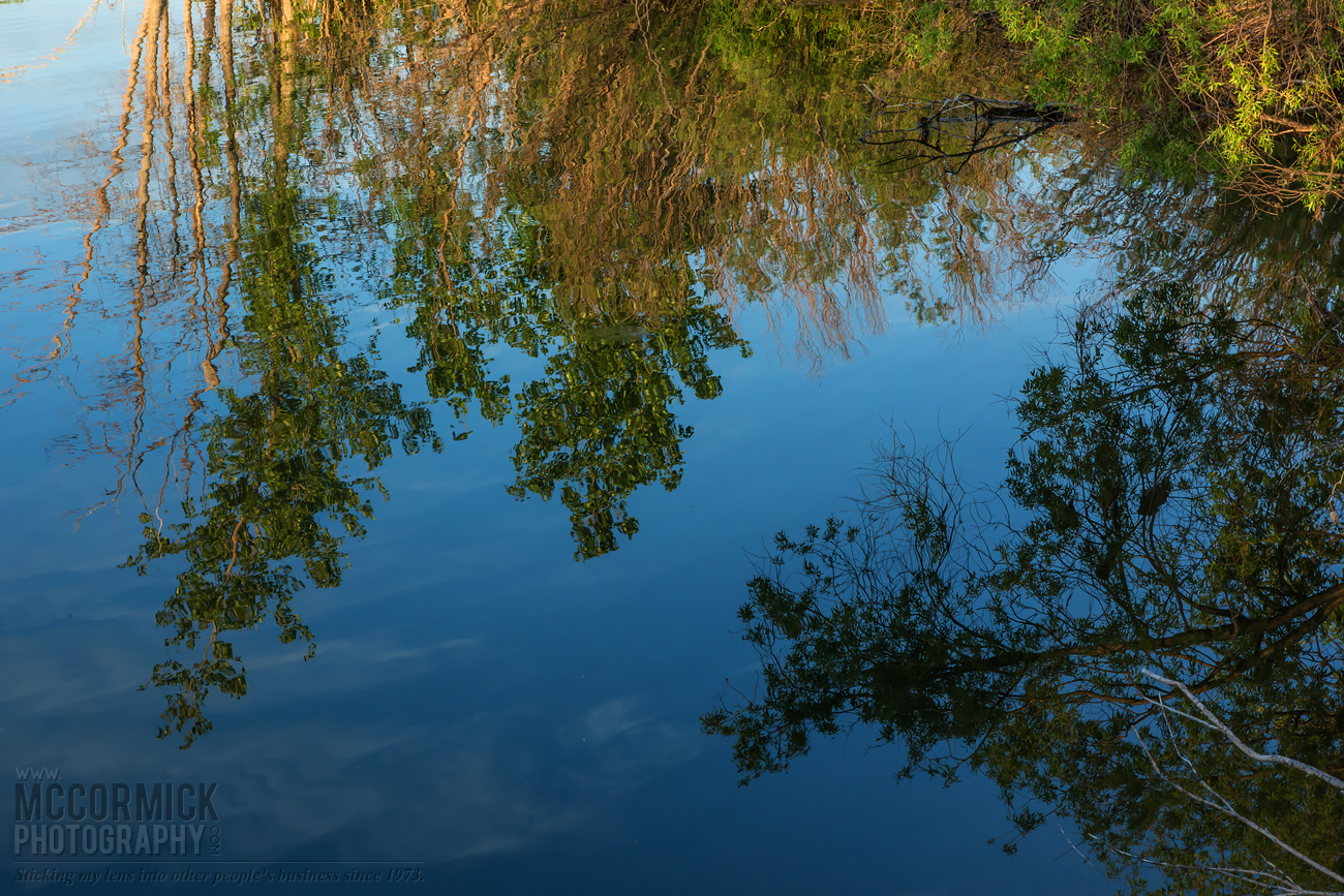 Prairie Oasis : 2015-06-06 : Reflection 1 of 3