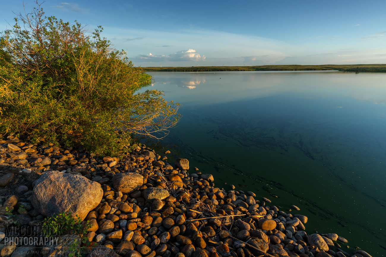Prairie Oasis : 2015-06-06 : The Sweet Light 2 of 3