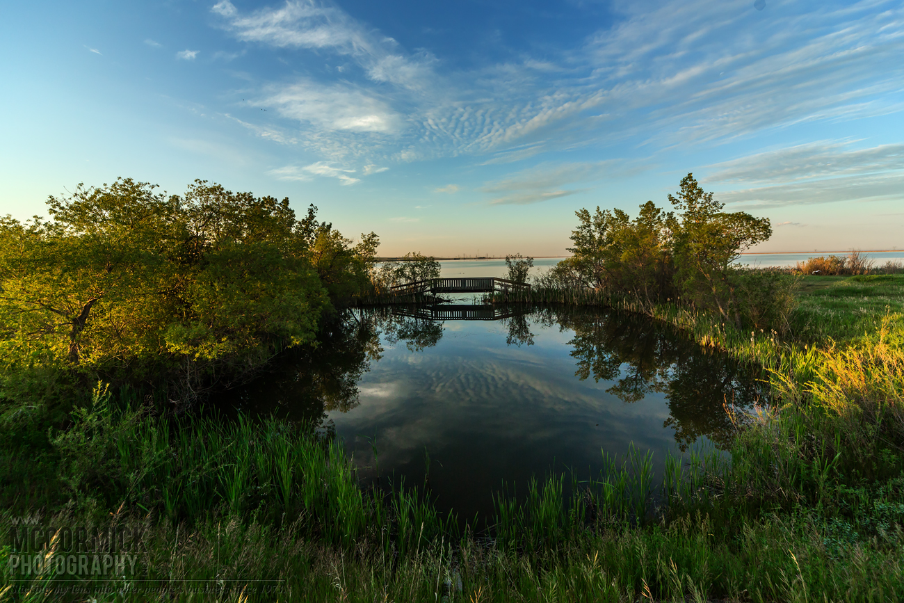 Prairie Oasis : 2015-06-06 : Reflecting Pond 1 of 4