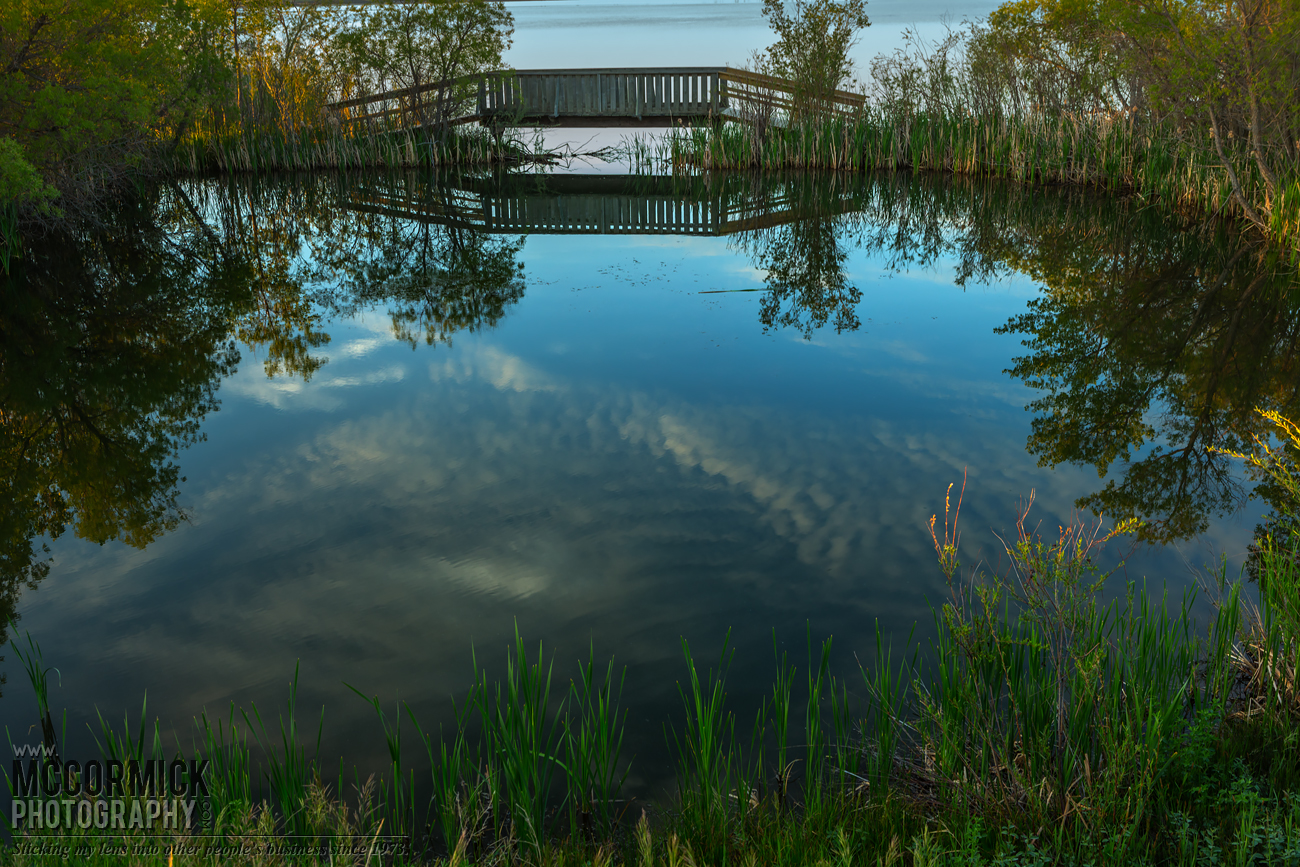 Prairie Oasis : 2015-06-06 : Reflecting Pond 3 of 4