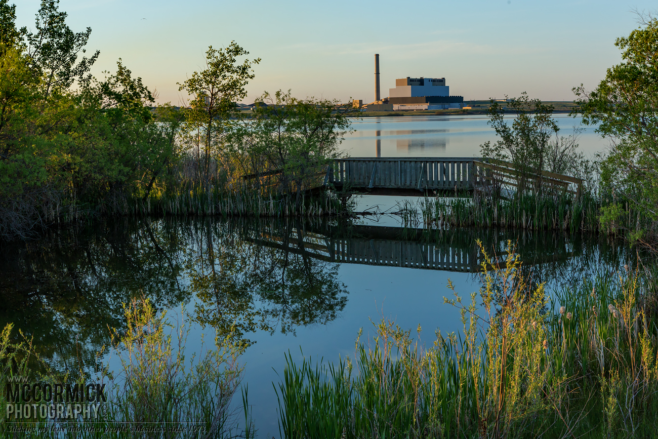 Prairie Oasis : 2015-06-06 : Reflecting Pond 4 of 4