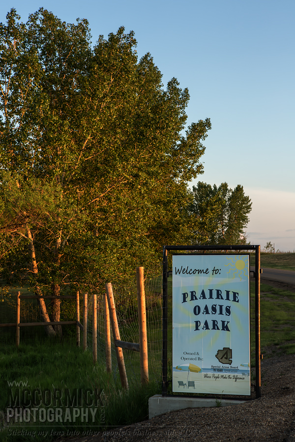 Prairie Oasis : 2015-06-06 : Howdy Howdy Howdy
