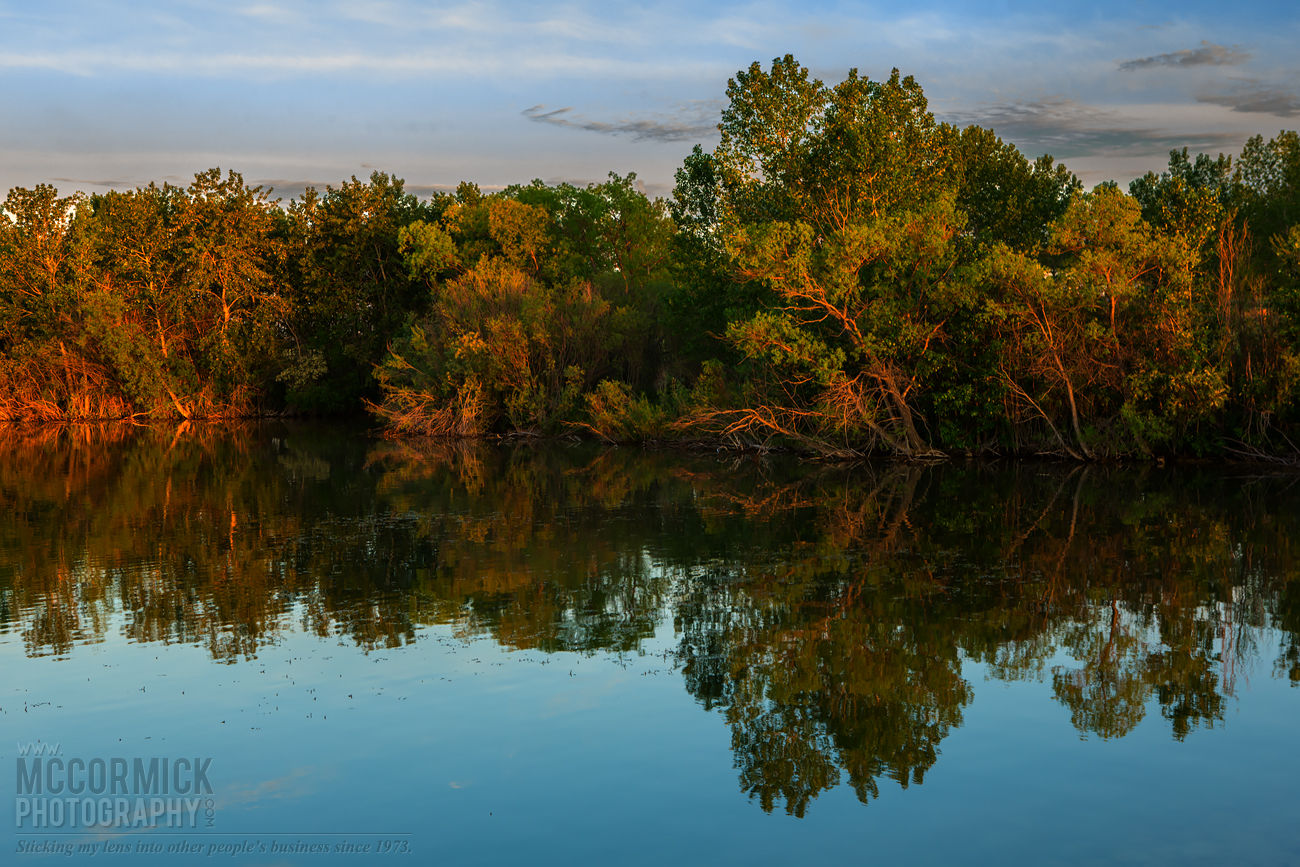 Prairie Oasis : 2015-06-06 : Shoreline Reflections 3 of 3