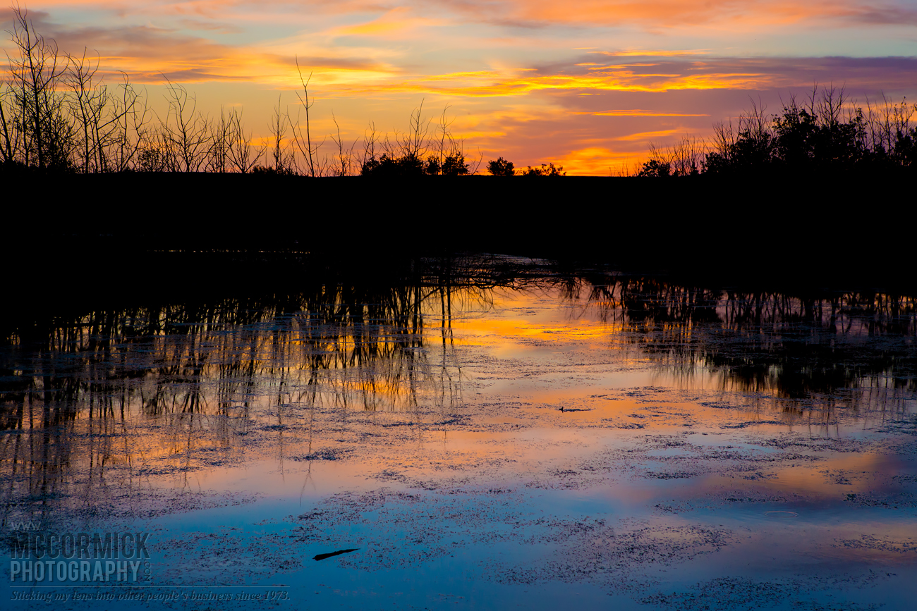 Slough Sunset : 2015-06-07 : 1 of 3
