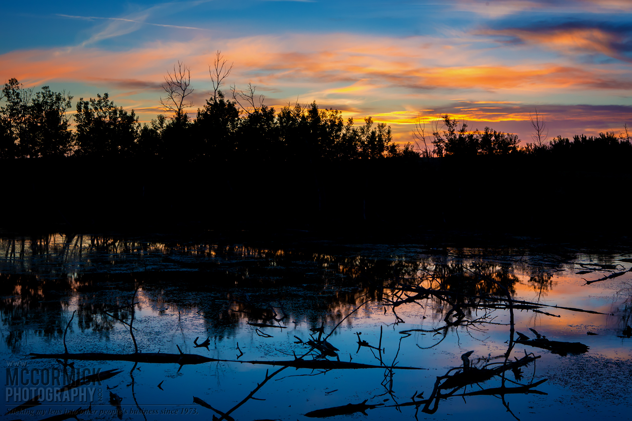 Slough Sunset : 2015-06-07 : 2 of 3