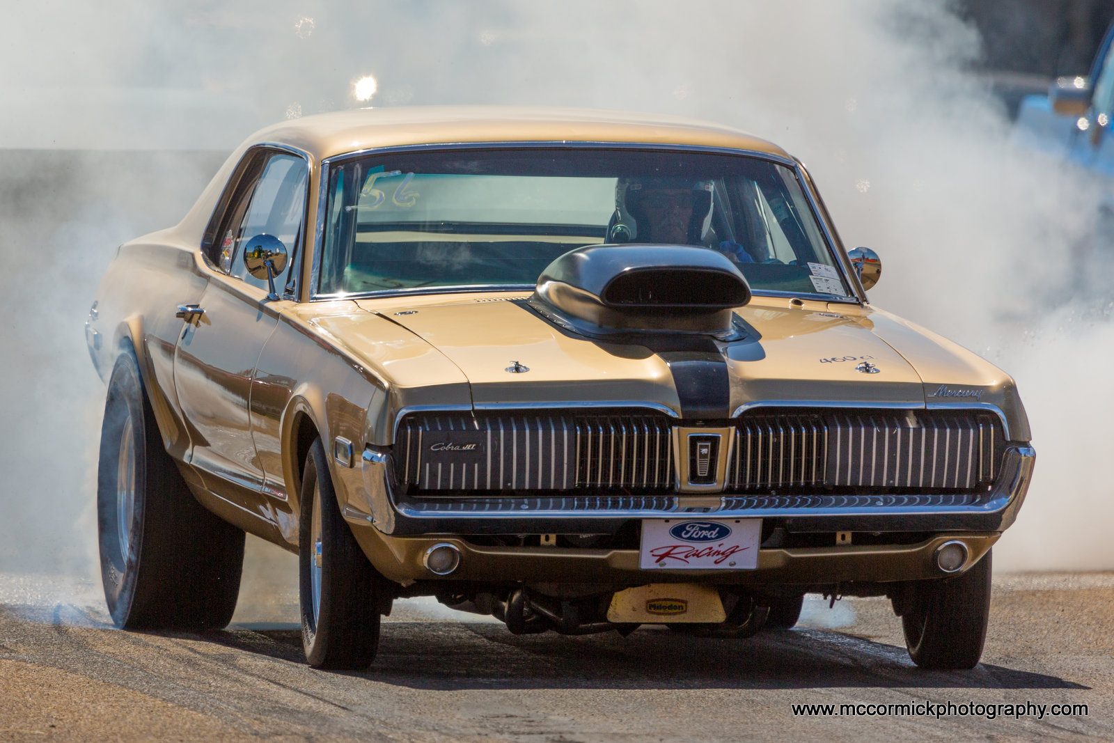 20150620-110324-2F8A0192-Canon EOS 5D Mark III