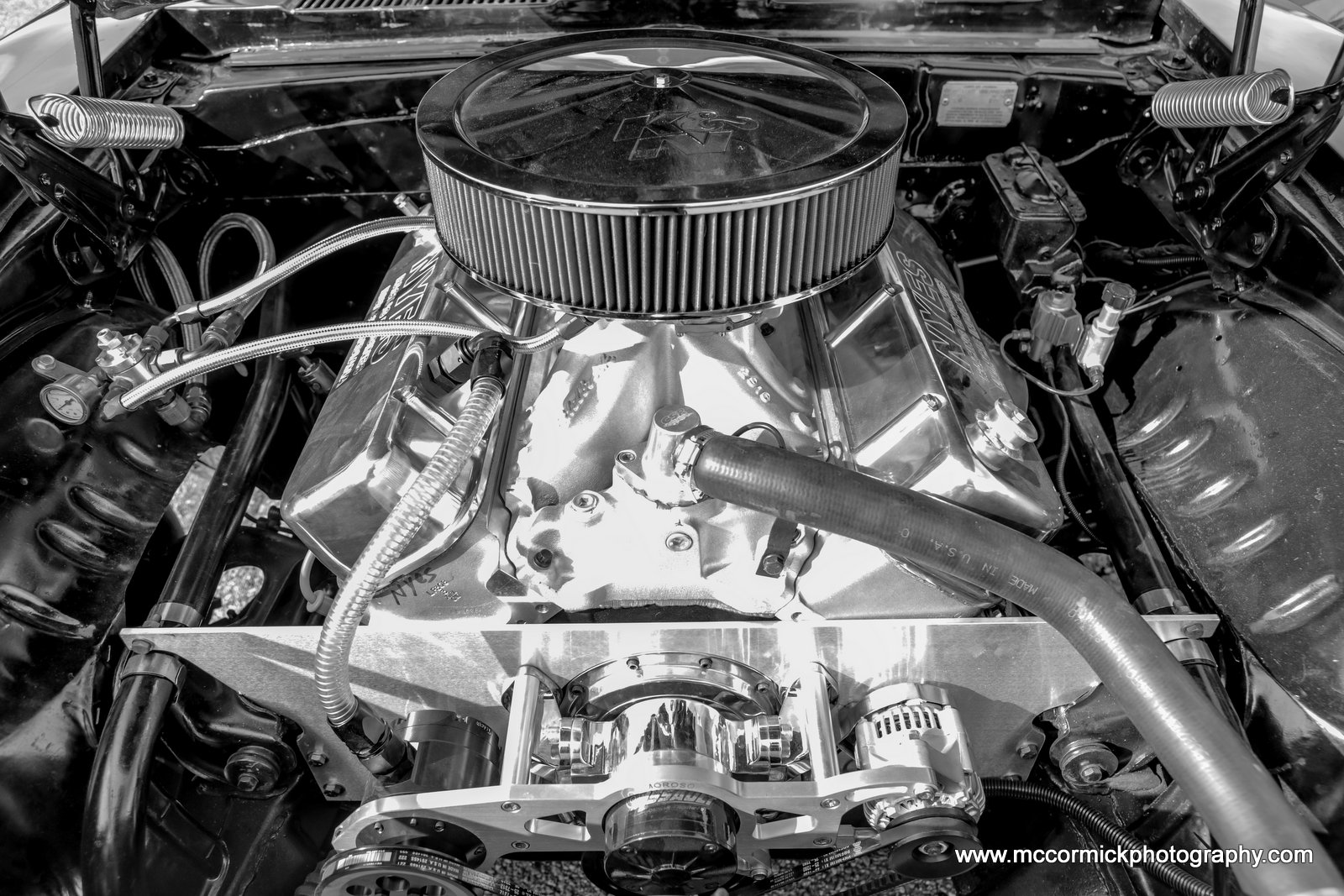 20150621-092024-2F8A3093-Canon EOS 5D Mark III