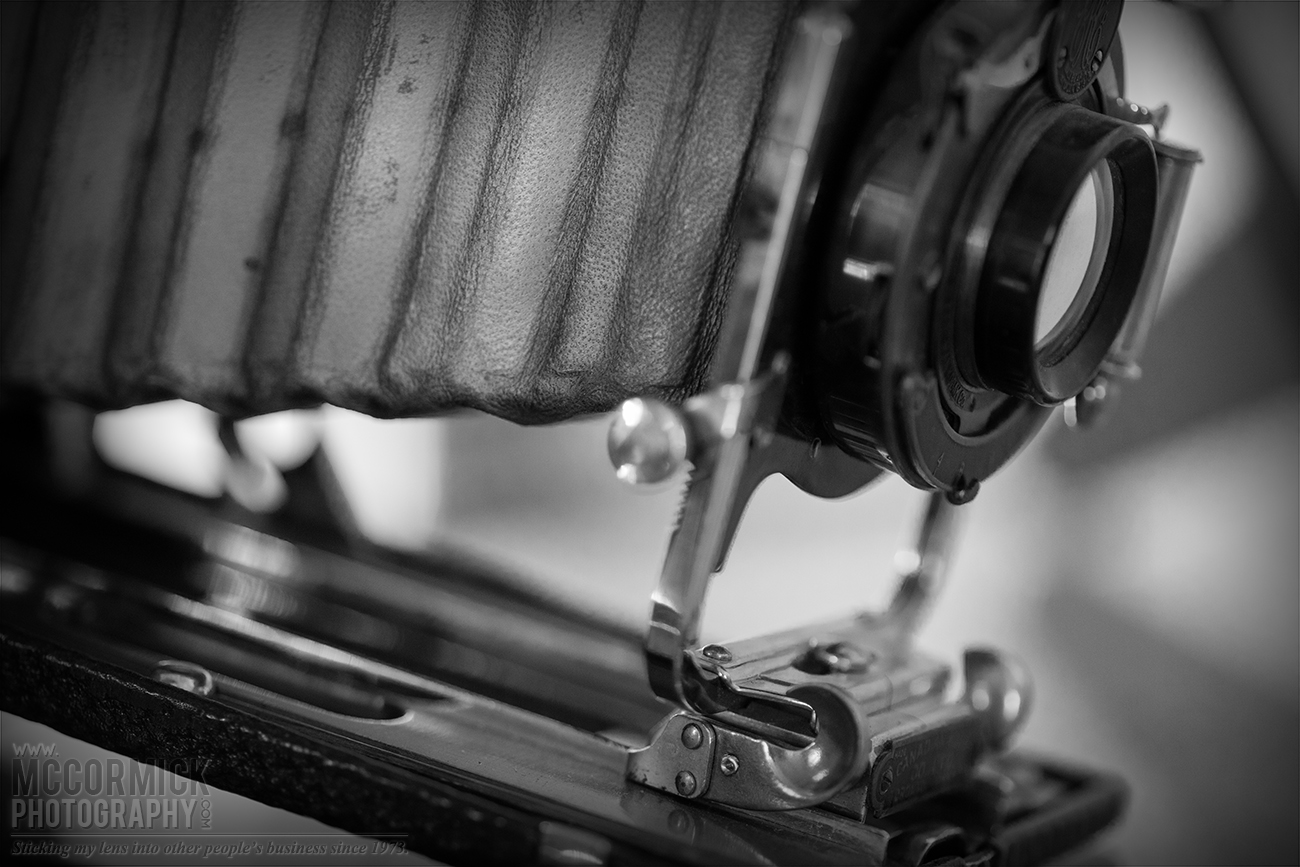 Folding Kodak Camera Detail