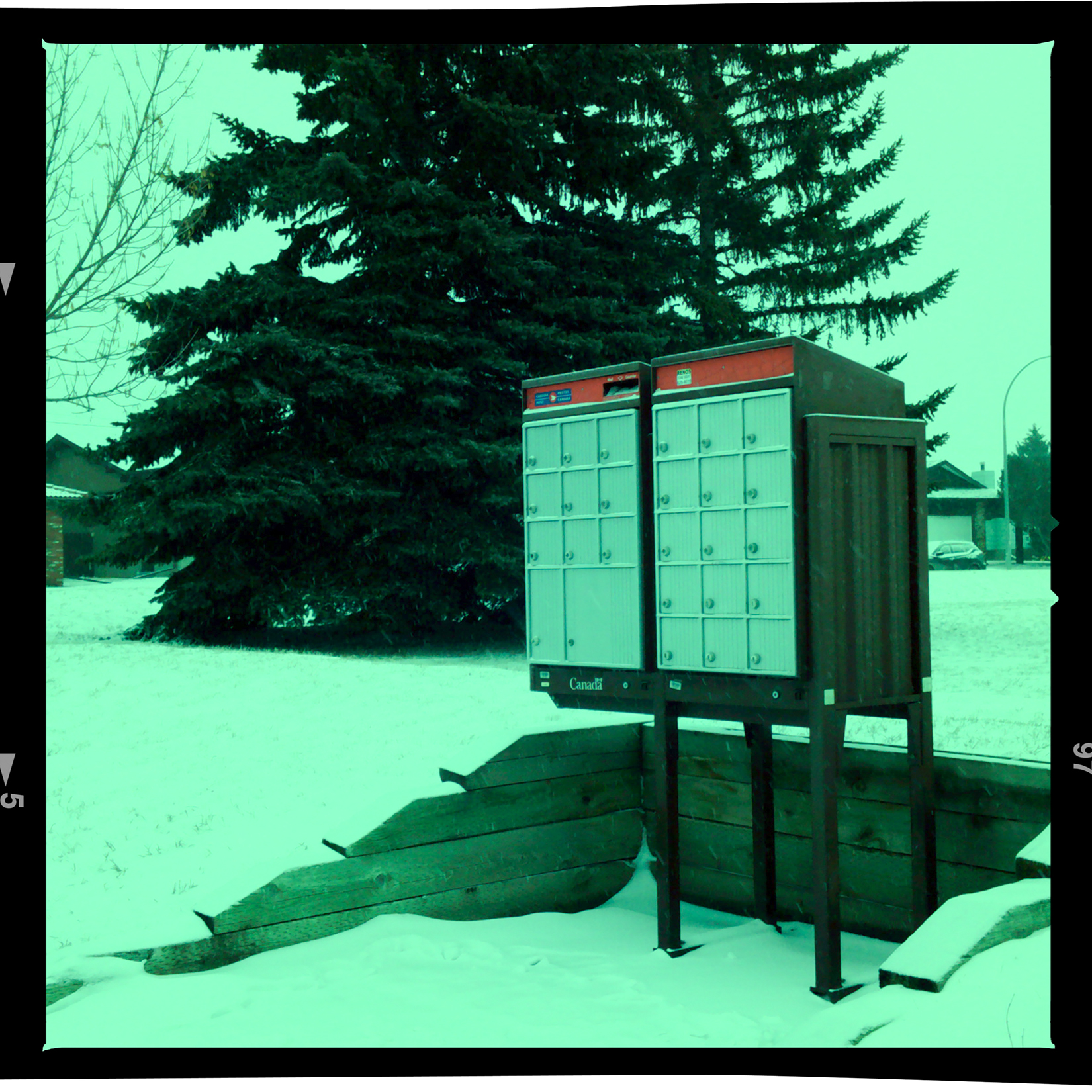 Mail Call, Thornbriar Green, Calgary, Alberta, 2024-02-27