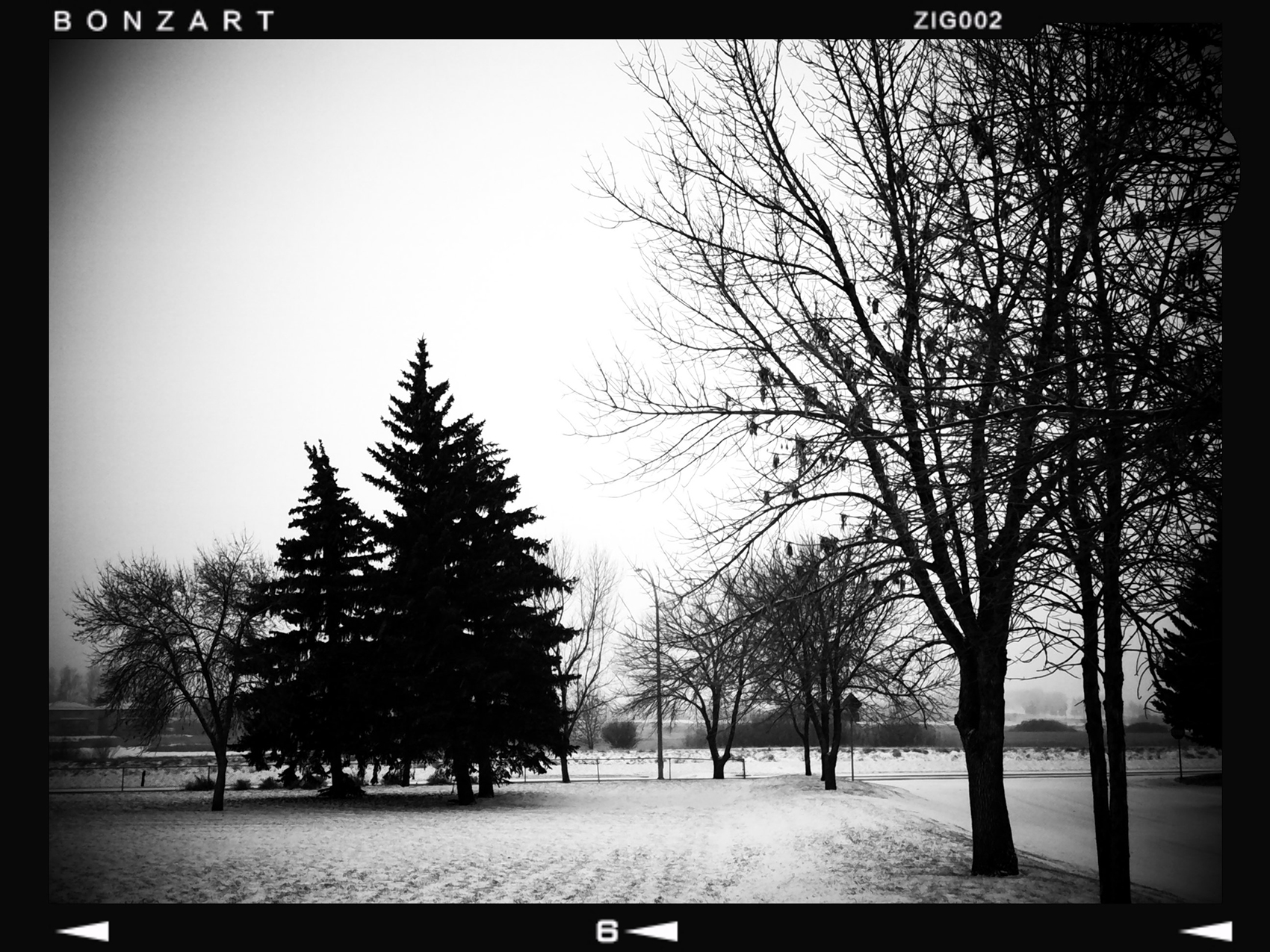 Just put it in park, Thornbriar Green, Calgary, Alberta, 2024-02-27