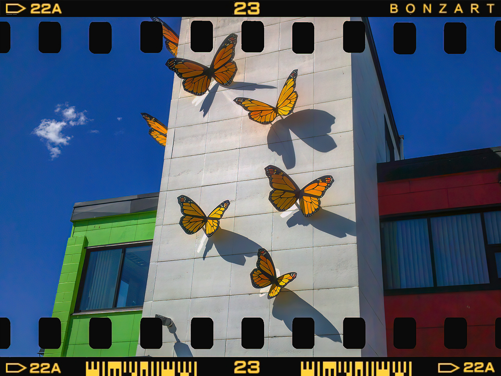 Flights of fancy, Downtown, Salmon Arm, BC, 2024-07-12