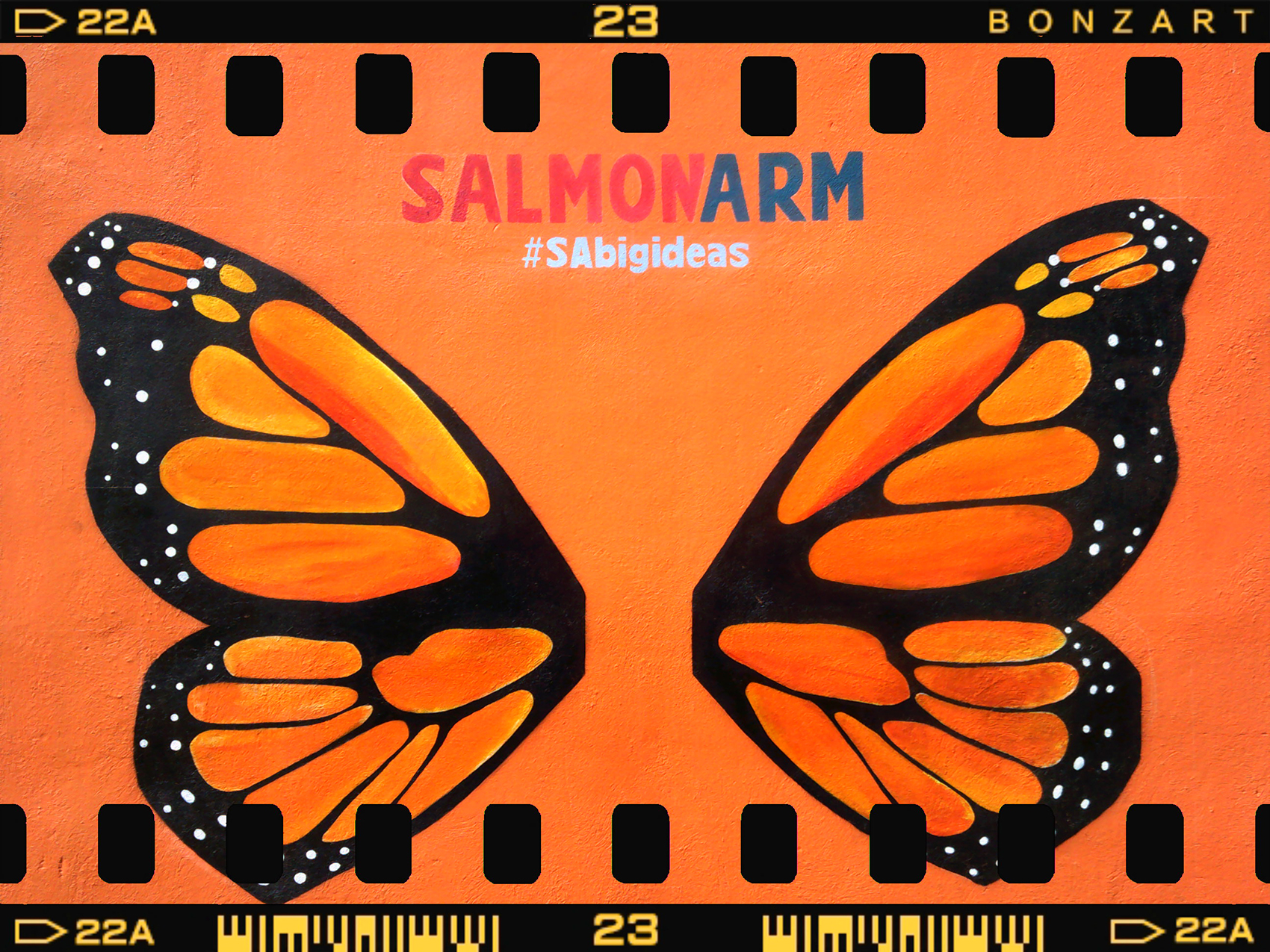 Winging it, Downtown, Salmon Arm, BC, 2024-07-12