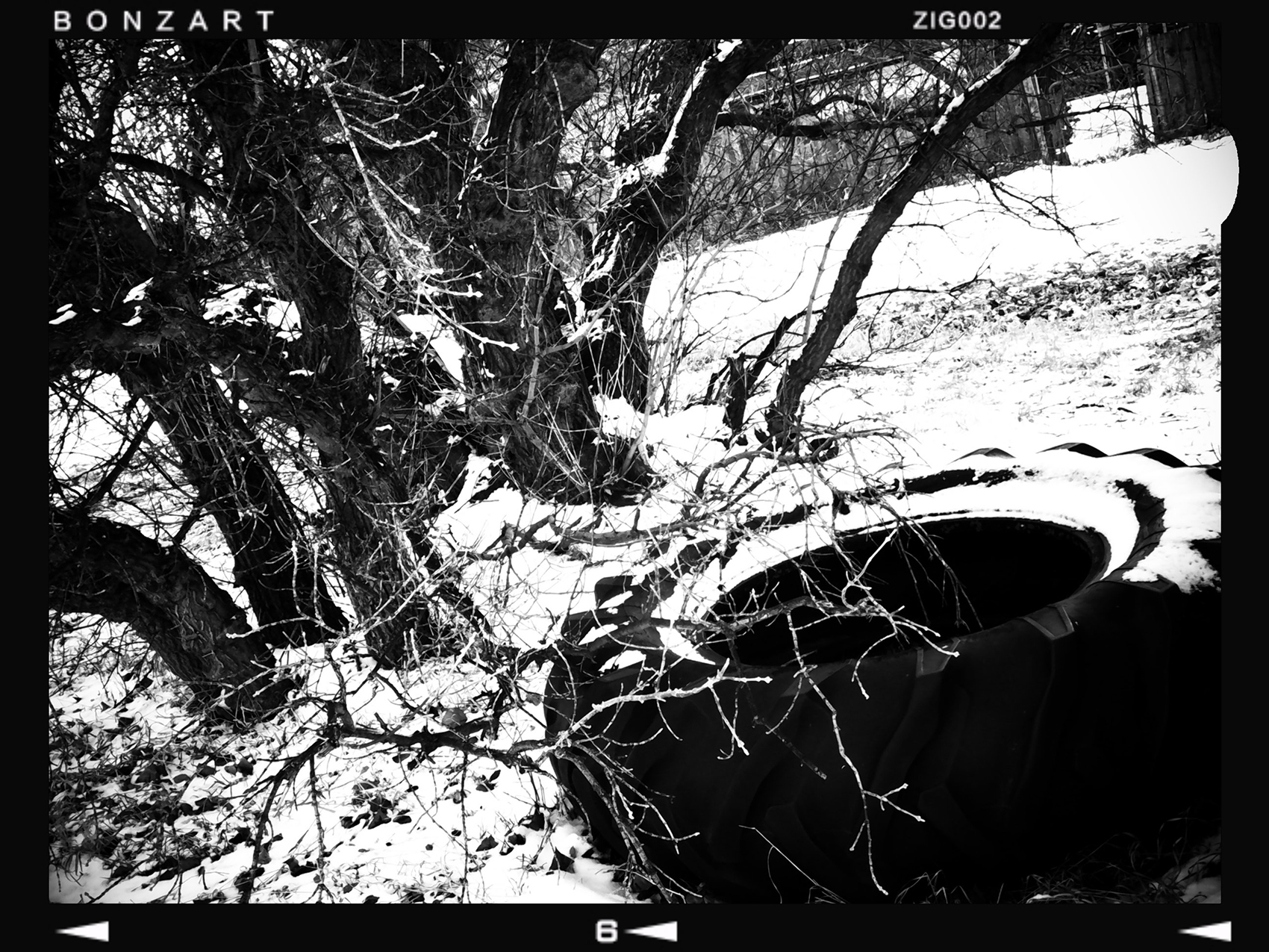 Oh so tired, Nightingale Hall, Nightingale, Alberta, 2024-02-25