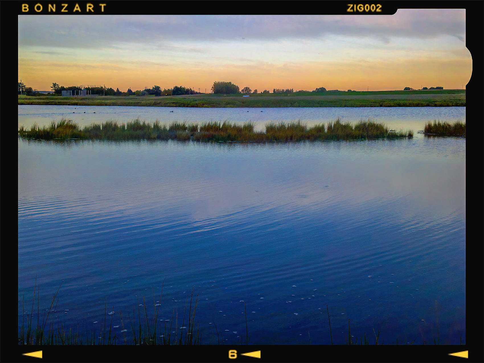 Water on the brain, Wheatland County, 2024-09-18