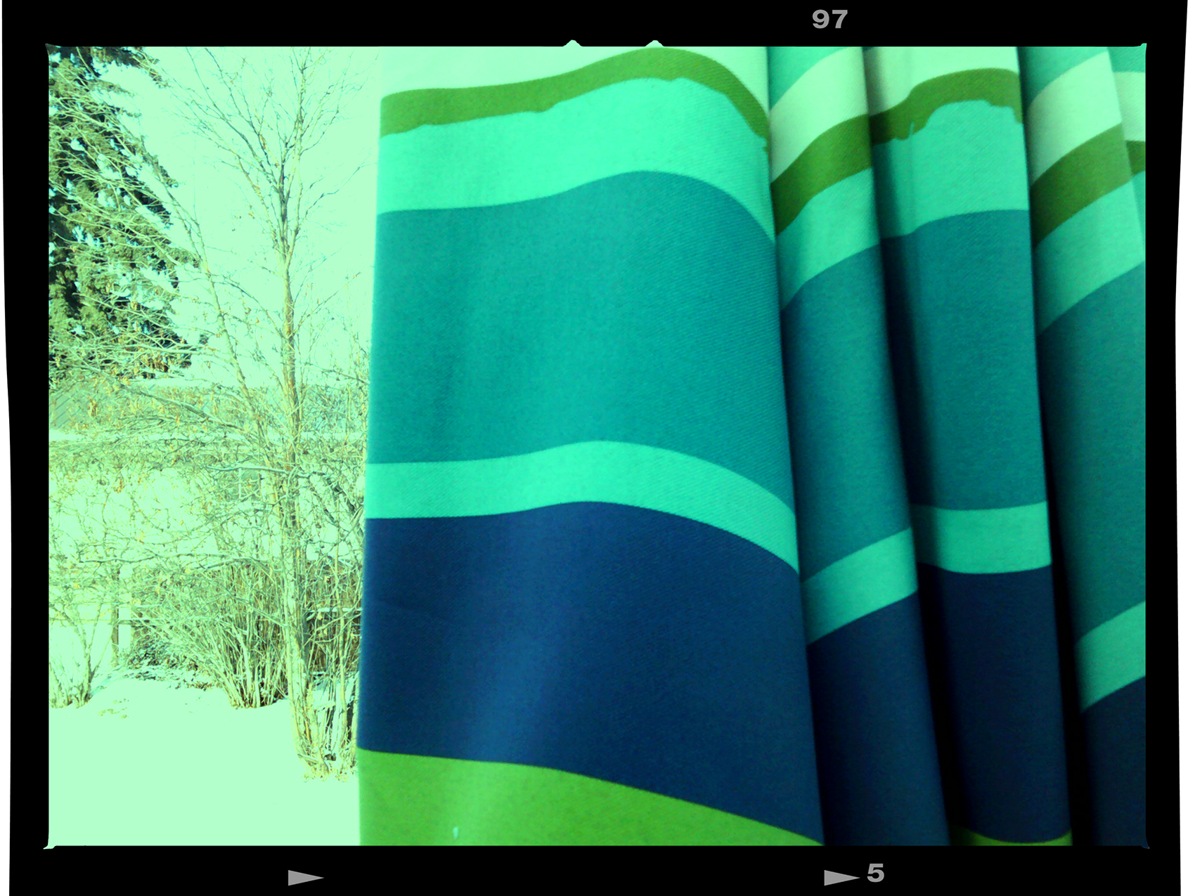 Spring on hold, Thornbriar Green, Calgary, Alberta, 2024-02-27
