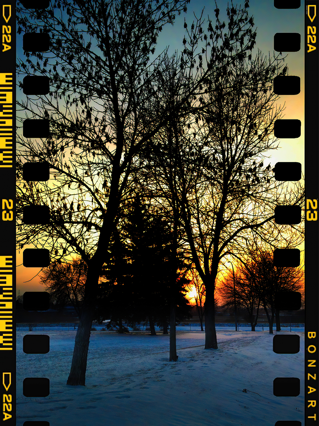 Fire & Ice, Sunset In Light Snow, Thornbriar Green, Strathmore, Alberta, 2024-03-01