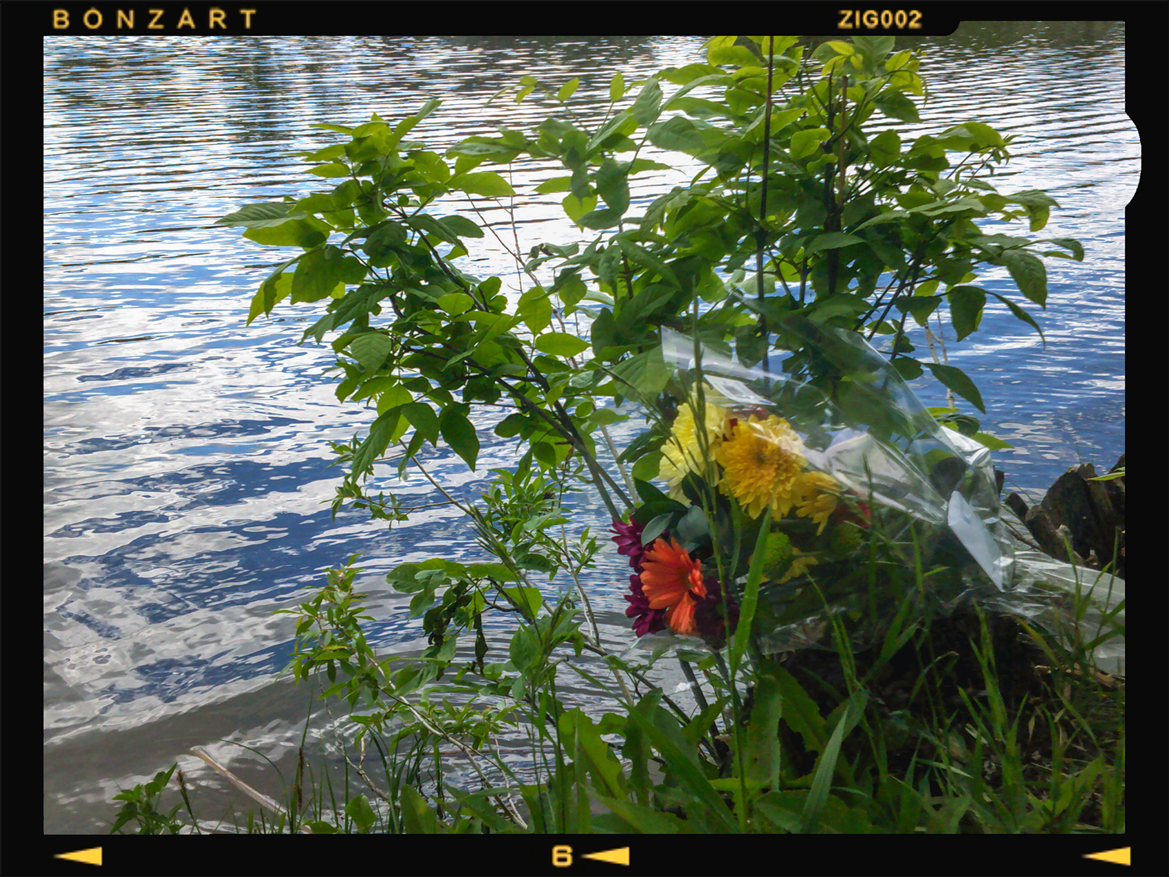 Remembering, Kinsmen Park, Strathmore, AB, 2024-06-11