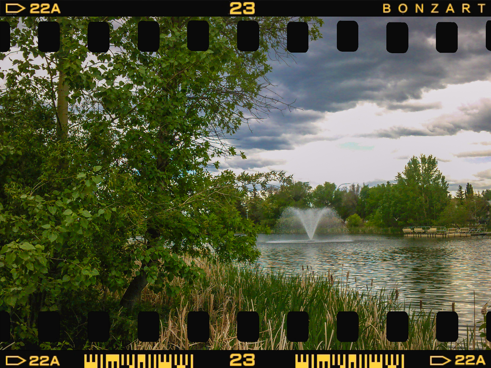Lark in the park, Kinsmen Park, Strathmore, AB, 2024-06-11