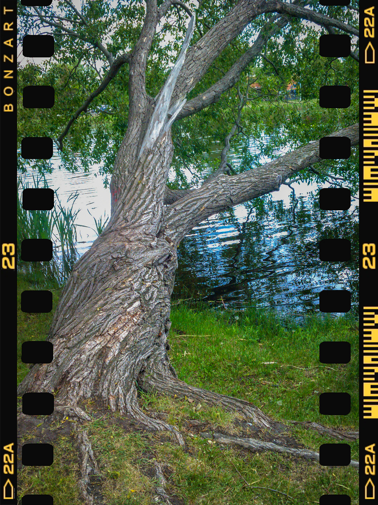 Who sent the Ent, Kinsmen Park, Strathmore, AB, 2024-06-11