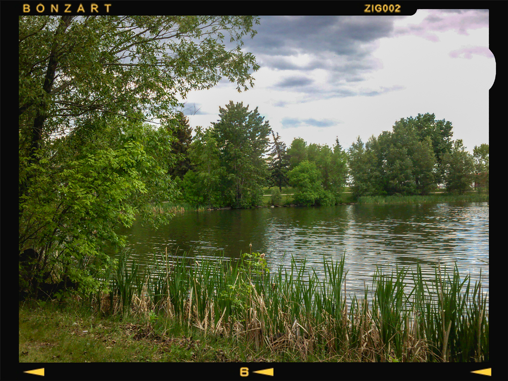 Lake's end, Kinsmen Park, Strathmore, AB, 2024-06-11