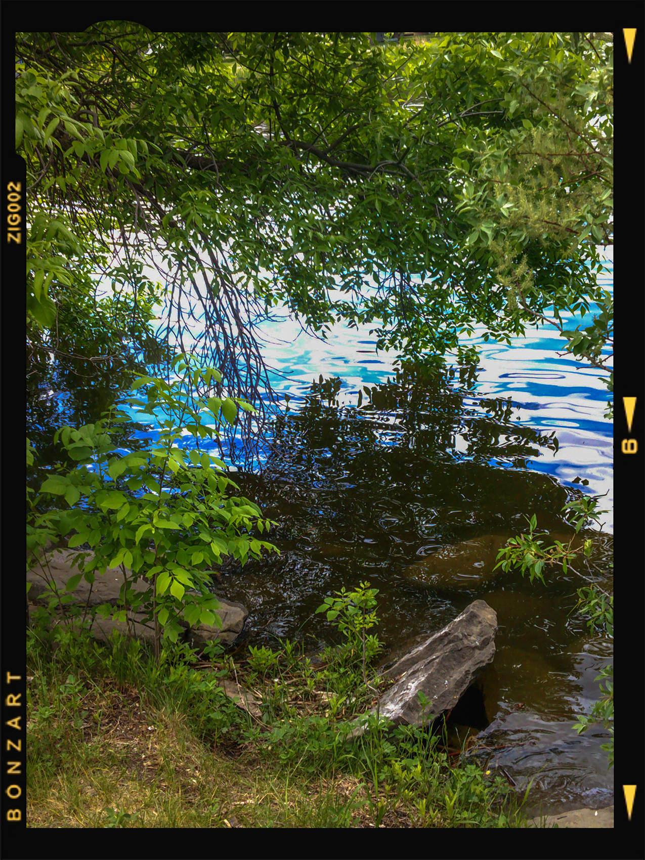 Quiet Place, Kinsmen Park, Strathmore, AB, 2024-06-11