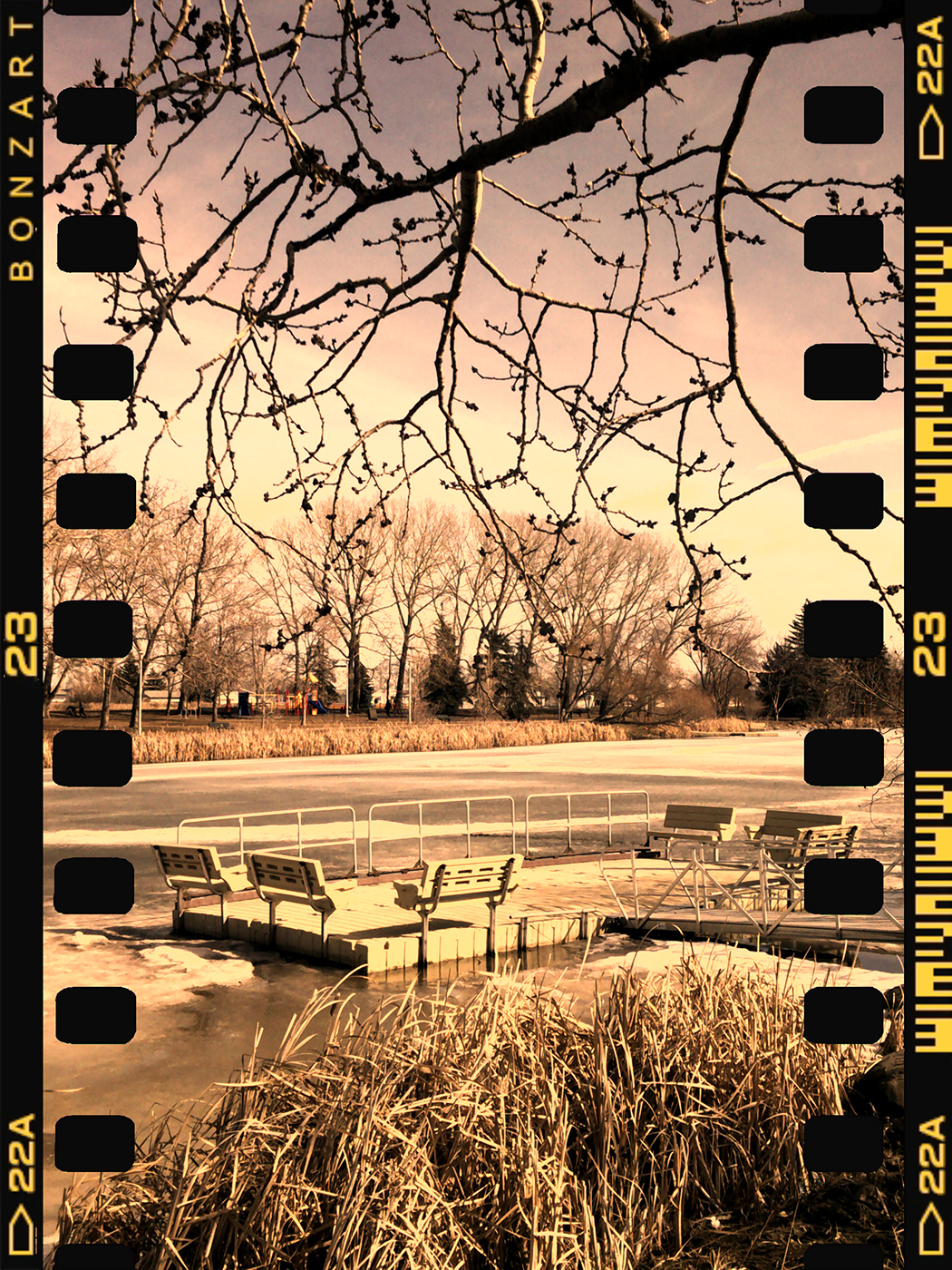 Taking Stock of the Dock, Kinsmen Park, Strathmore, Alberta, 2024-03-15