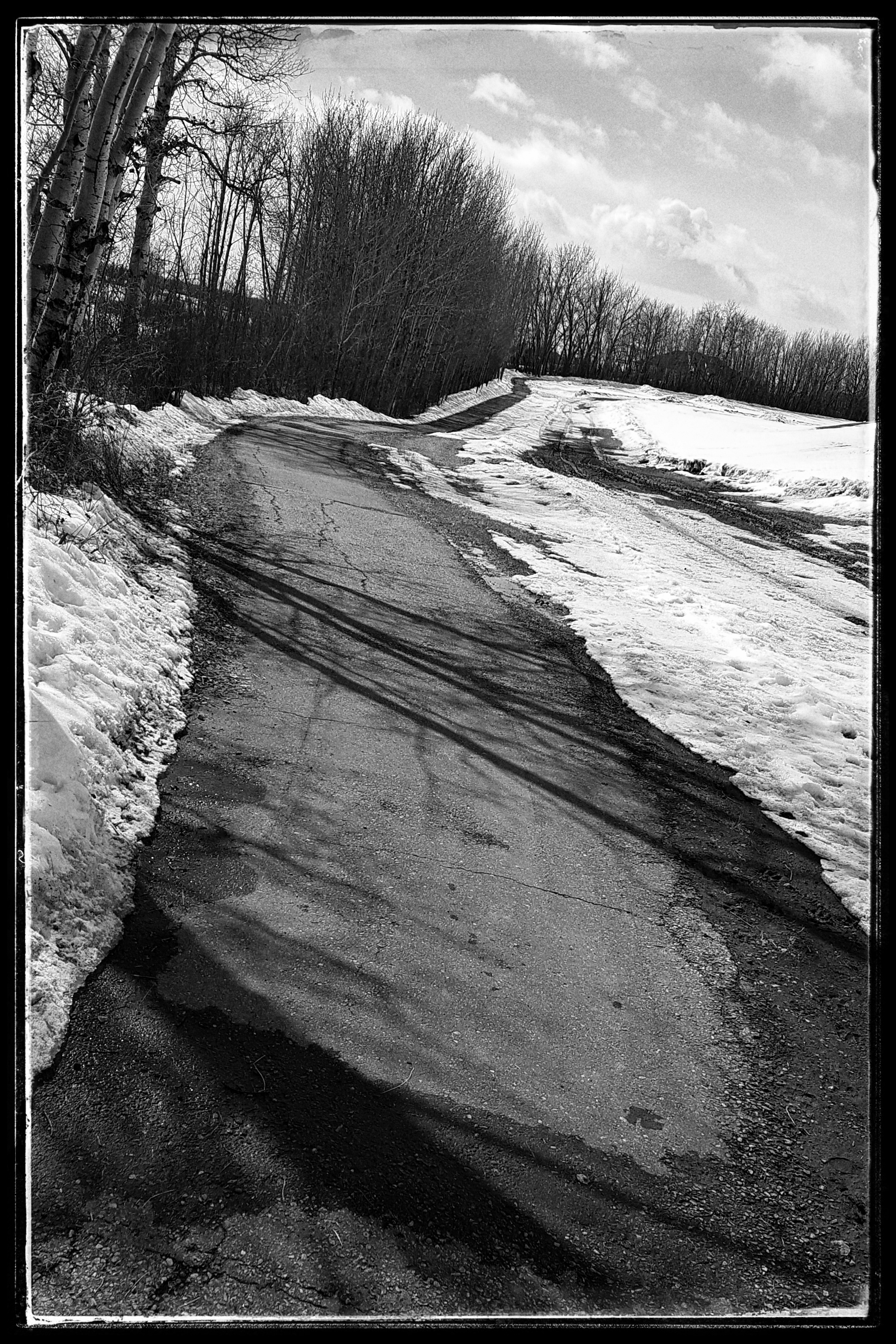Homesteader's Walking Trail, Barrhead, Alberta