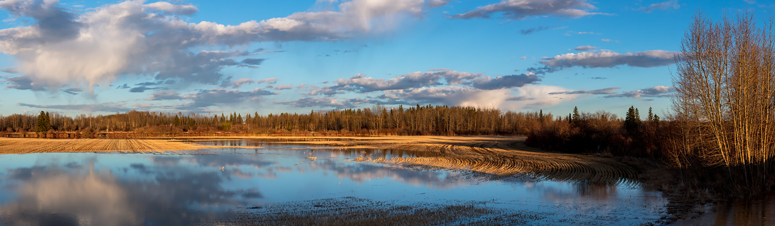 Prairie Pano, Apr 22, 2020