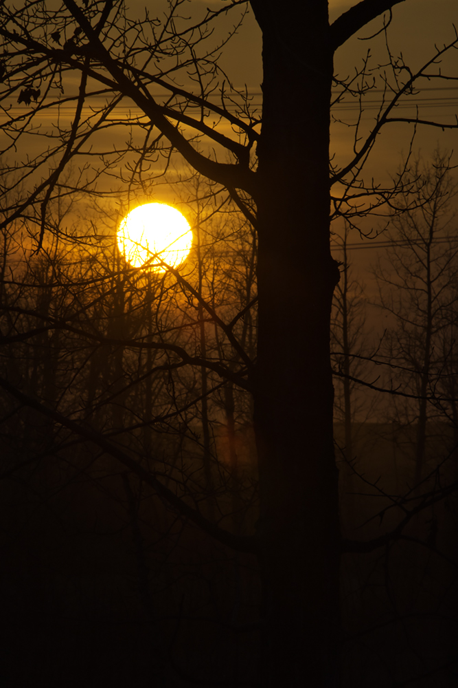 Sunset, Apr 24, 2020 (4 of 5)