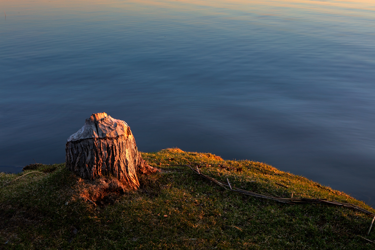 Beaver Fever, Thunder Lake Provincial Park (1 of 2)