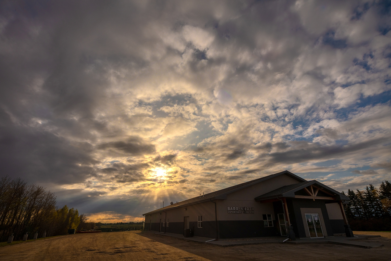 Barr-North Vetrinary Clinic