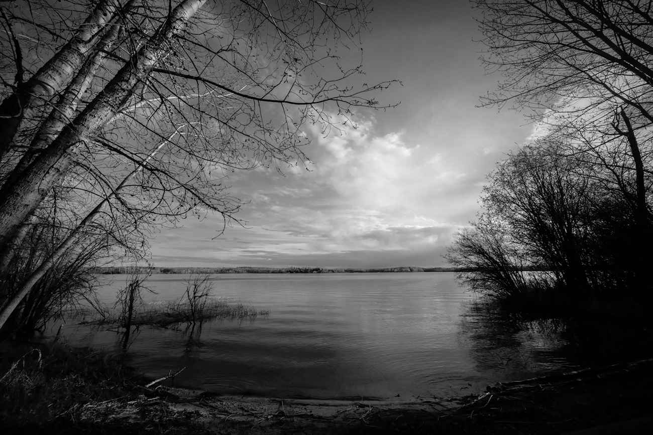 Light and Shadows, May 15, 2020 (2 of 2)