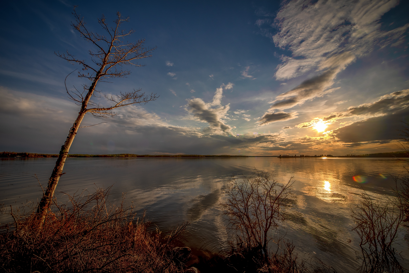 Dusk Approaches the Lone Tree, May 15, 2020