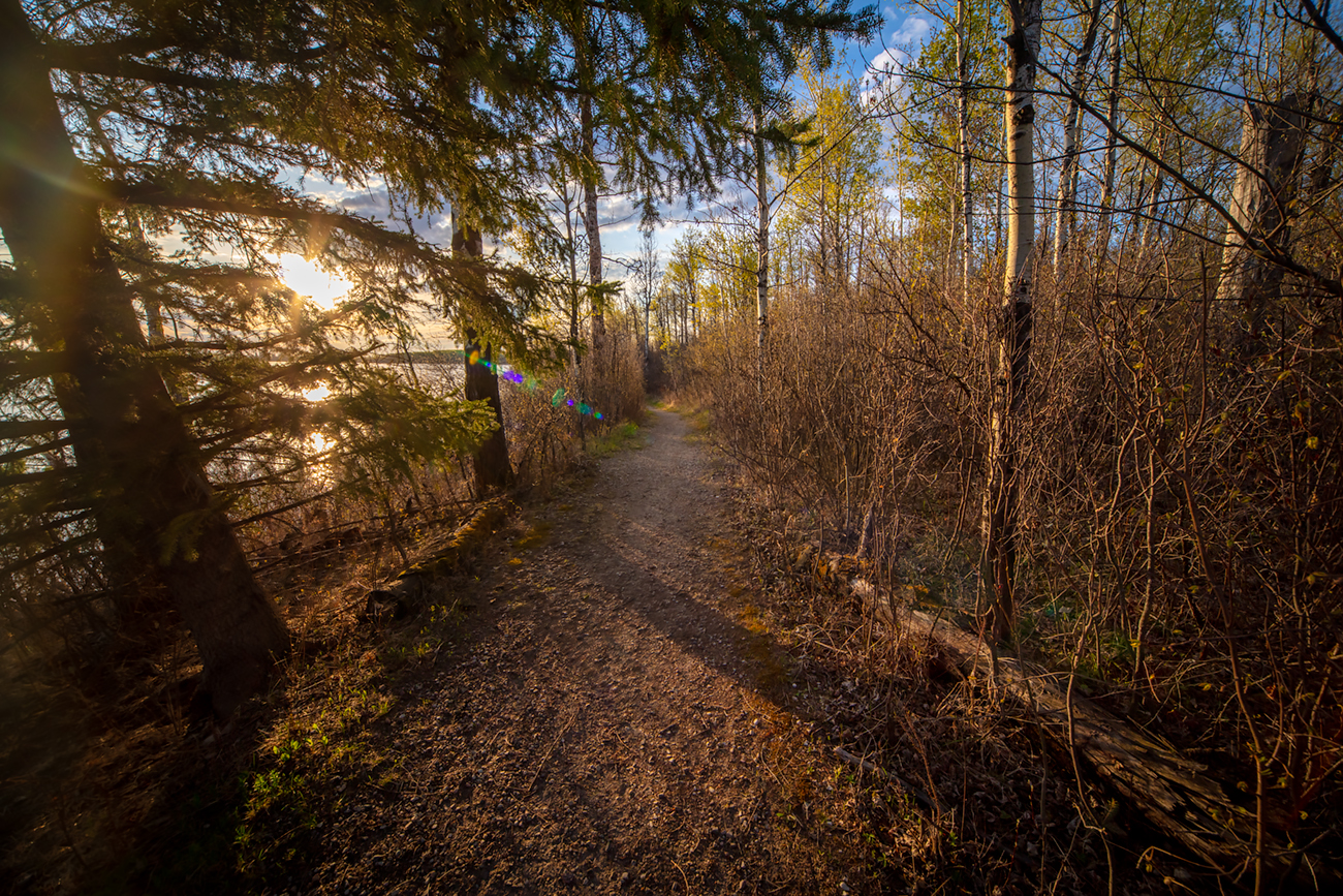 A walking we will go.