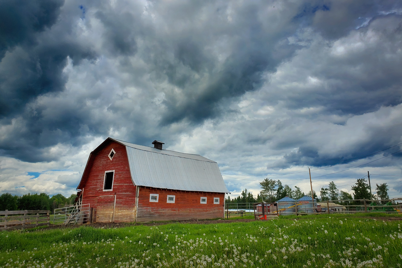 We're here for your dogs, Barrhead County, Alberta, June 21, 2020