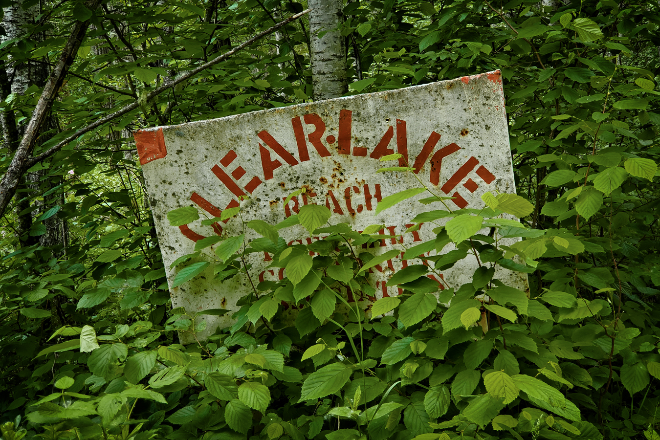 All that was missing was Jason Voorhees, Clearlake Beach, Alberta, June 21, 2020