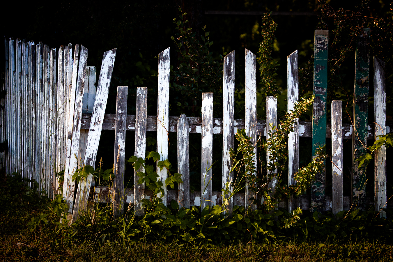 Feeling Fenced In, Barrhead, Alberta, June 27, 2020